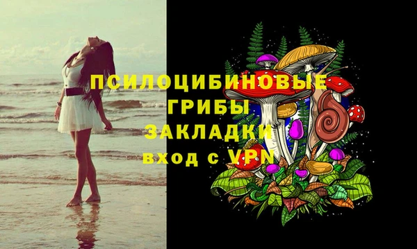 герыч Алексин
