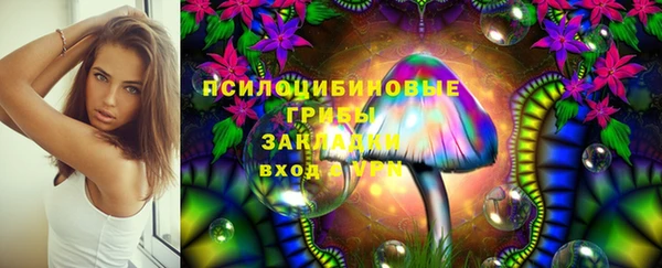ешки Сафоново