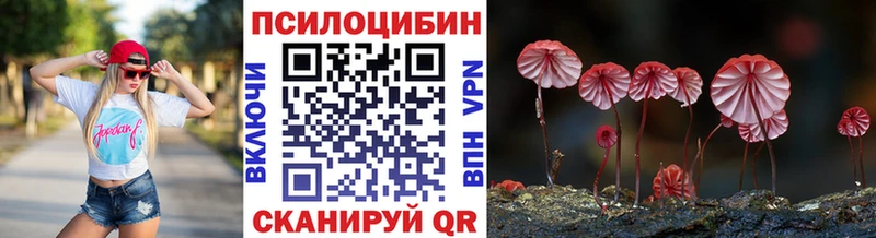 Галлюциногенные грибы Psilocybe Себеж